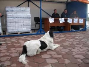 foto 075 foto 075