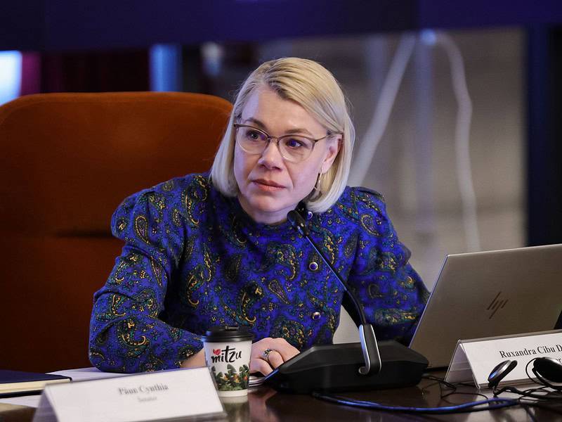 Ruxandra Cibu Deaconu la o ședință, cu microfon și laptop pe masă