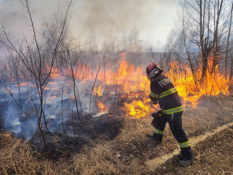 Incendiu de vegetație pe fondul caniculei, în zona Mediaș