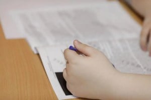 evaluare nationala matematica 2026