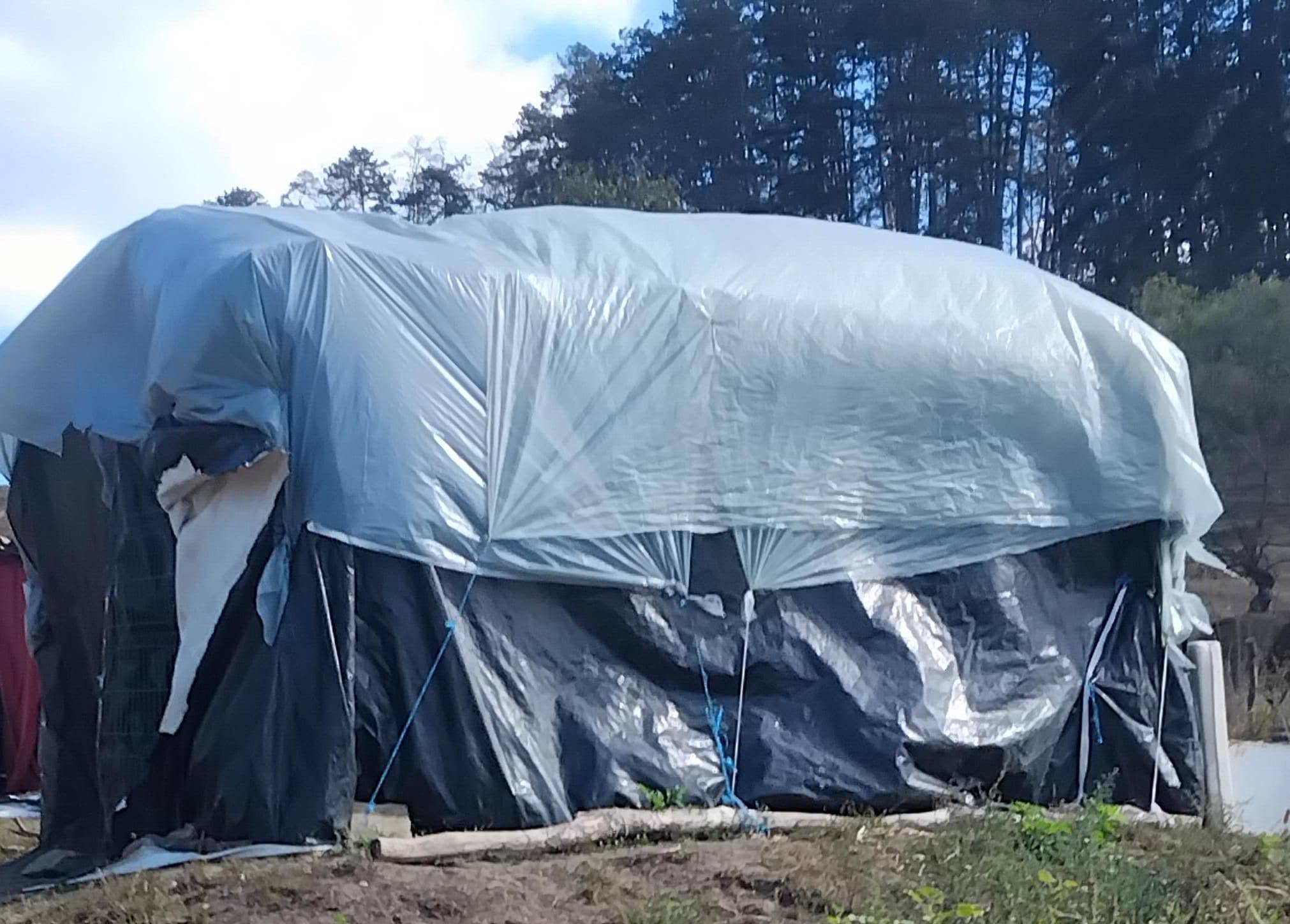 Doi copii din Brădeni trăiesc într-o colibă, dar nu au lipsit nicio zi de la școală. Profesoara lor: „Nu pot să stau și să mă uit”