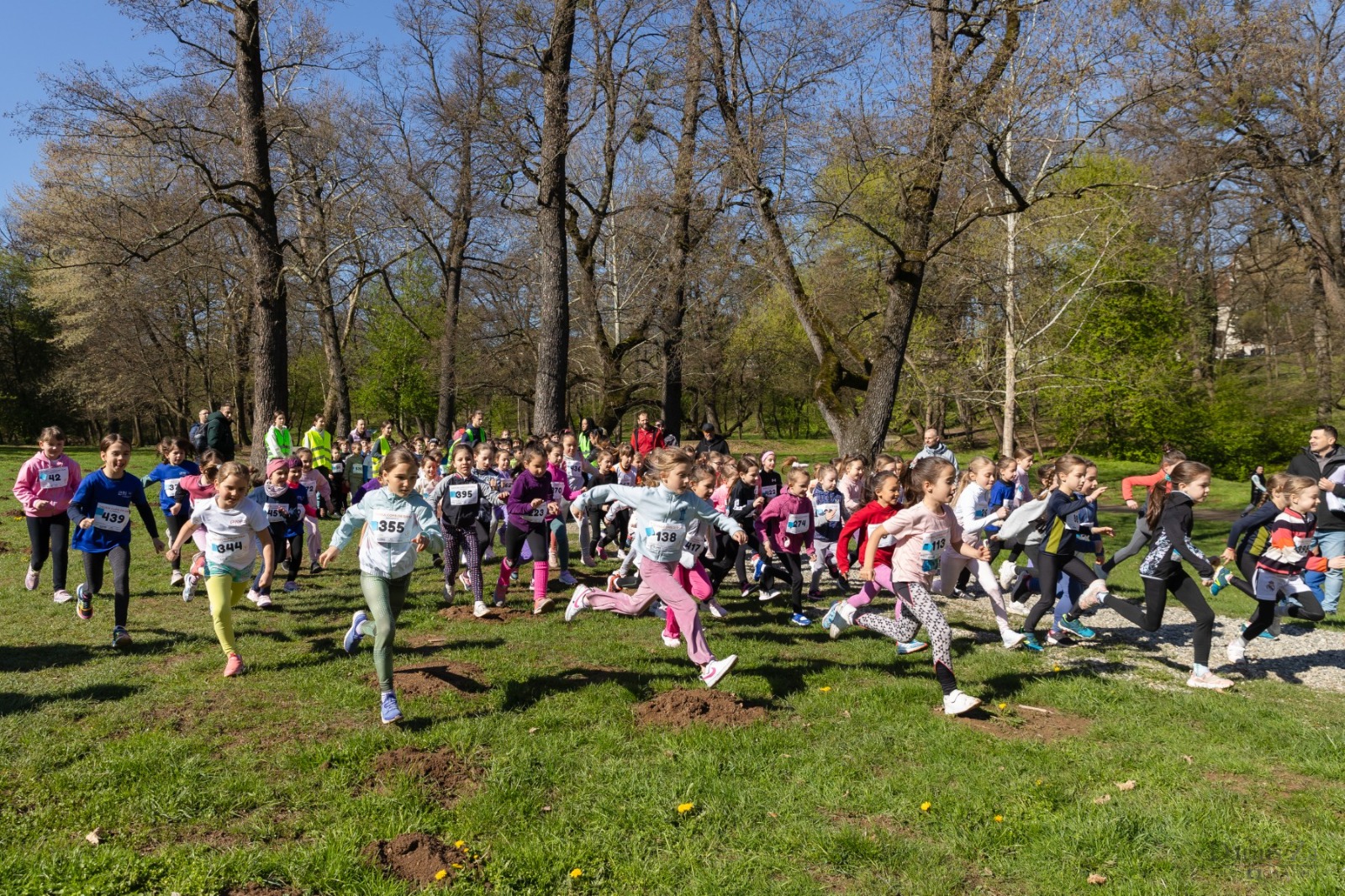 De la Zilele Comunității Șelimbăr până la târg de ecoturism și Noaptea Cercetătorilor: Lista completă a evenimentelor din weekend