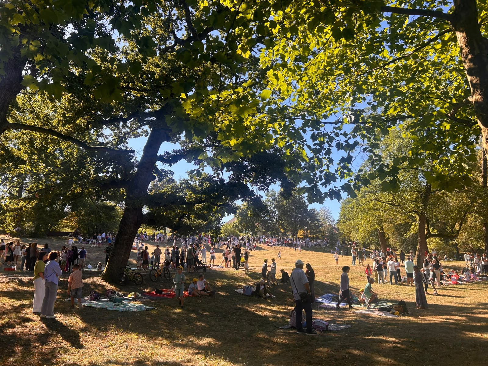 Fără bănci și catalog în prima zi de școală: elevii de la „Caragiale” au început anul la picnic în Sub Arini / foto video