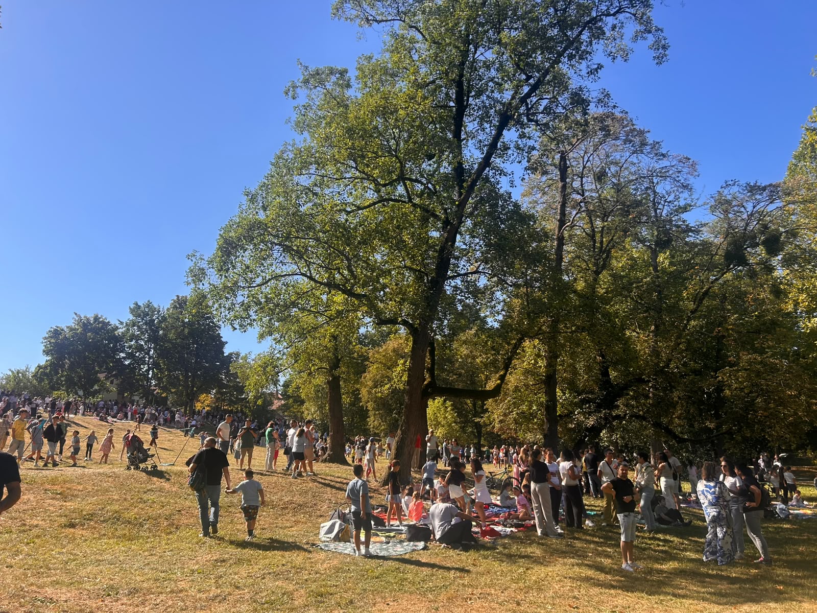 Fără bănci și catalog în prima zi de școală: elevii de la „Caragiale” au început anul la picnic în Sub Arini / foto video
