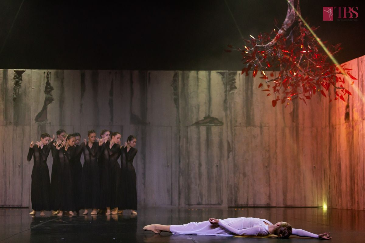 teatrul balet sibiu stagiune stravinski