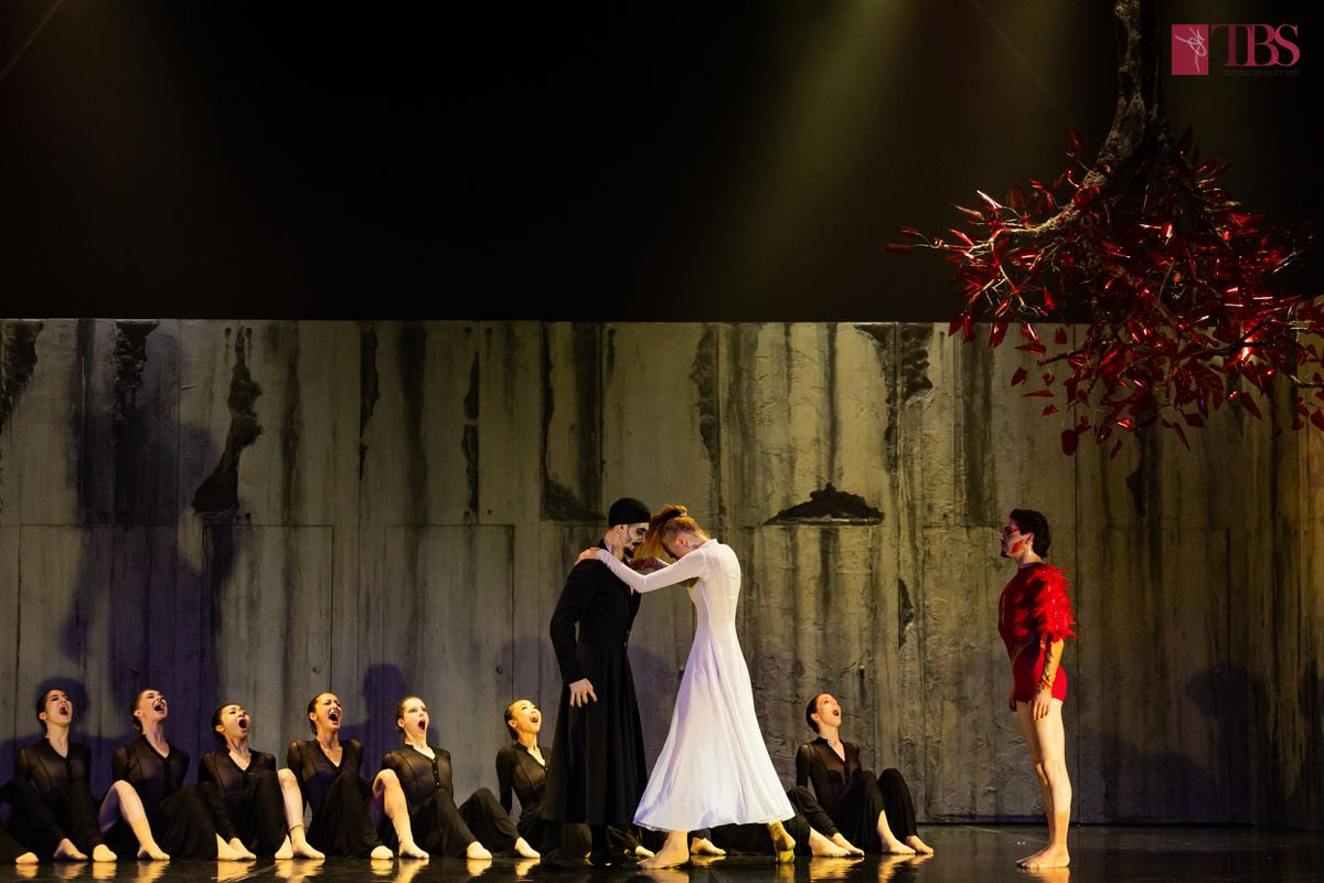teatrul balet sibiu stagiune stravinski