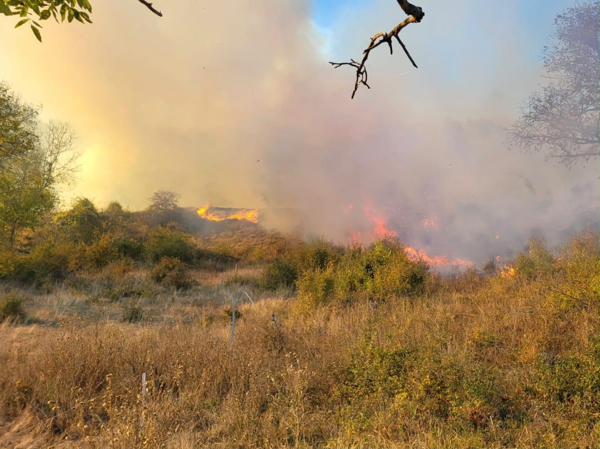 Șeica Mare: incendiu de vegetație uscată, 100 de baloți și 8.000 de metri pătrați arși