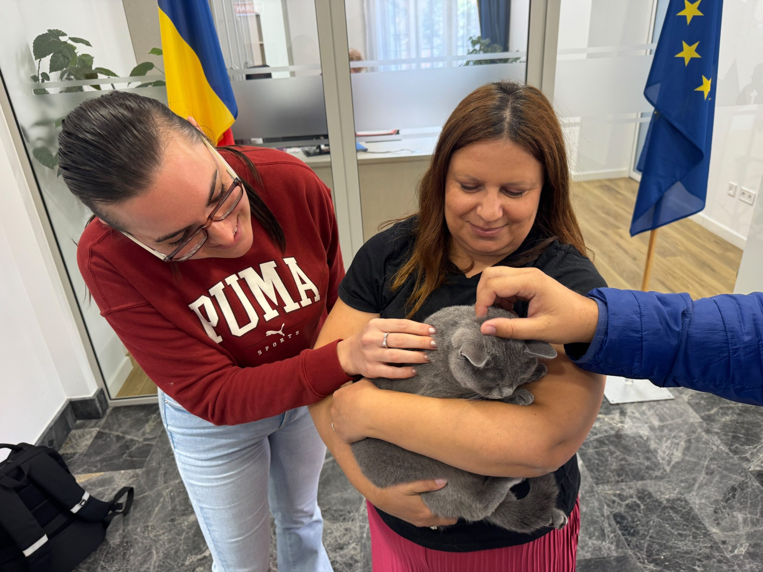 Cei mai simpatici „angajați” de la Consiliul Județean Sibiu: au venit la birou pe patru lăbuțe / foto video