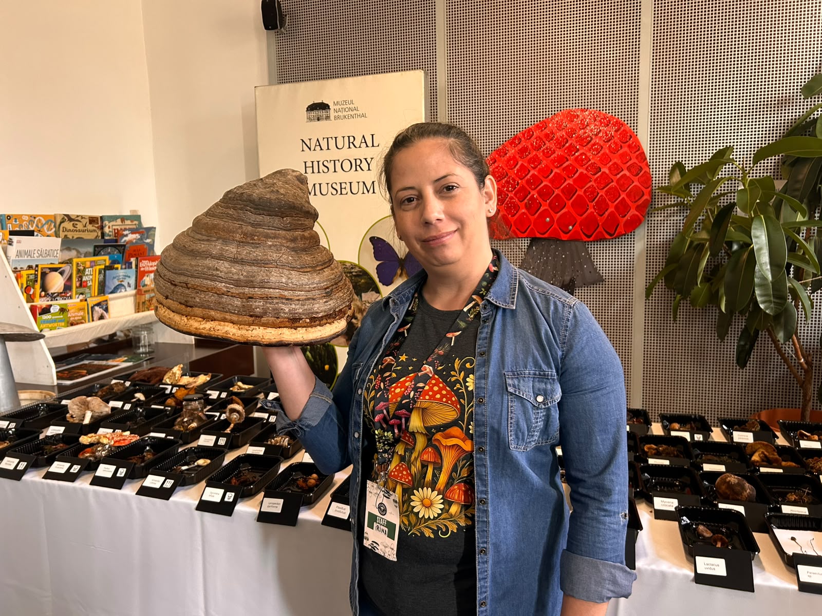 Expoziție inedită la Sibiu: De la ciuperci cu miros de vanilie până la o specie descoperită pentru prima dată în România / foto video