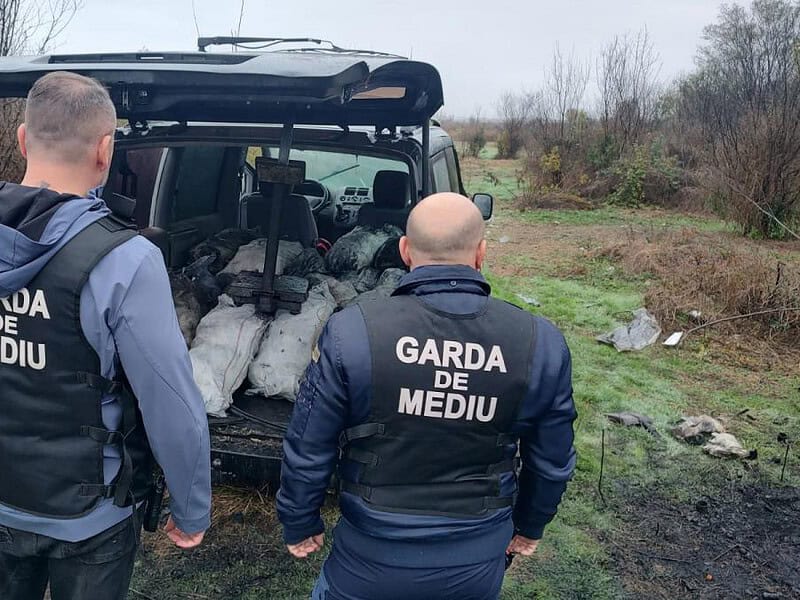 Platformă nouă la Garda Forestieră: cetățenii pot urmări petițiile și concluziile controalelor