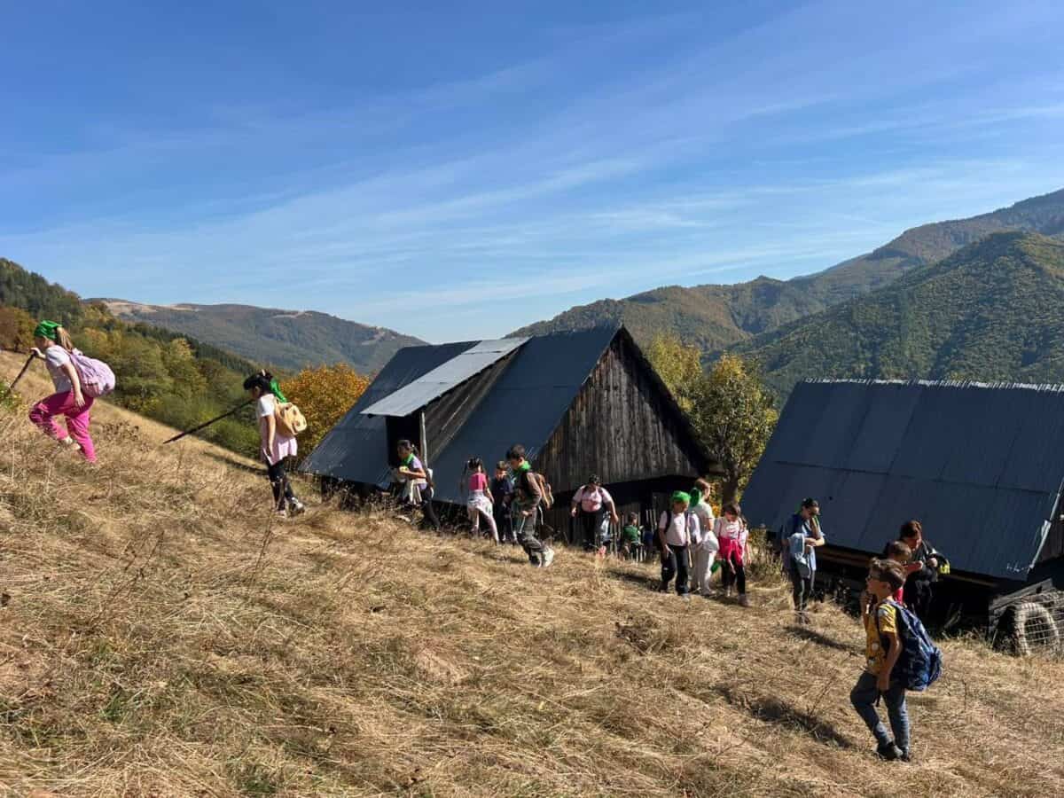 Lecție în natură pentru elevii din Șura Mare: au descoperit una dintre cele mai frumoase zone din județ / foto