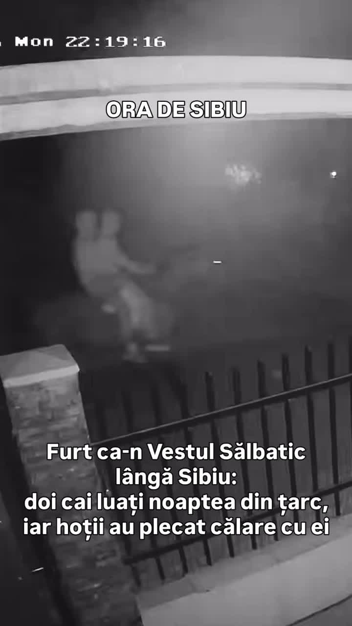 Furt ca-n Vestul Sălbatic lângă Sibiu: doi cai luați noaptea din țarc, iar hoții au plecat călare cu ei — VIDEO