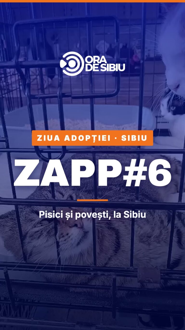 Declarația unei voluntare PAN despre două surori adoptate și readuse pe stradă