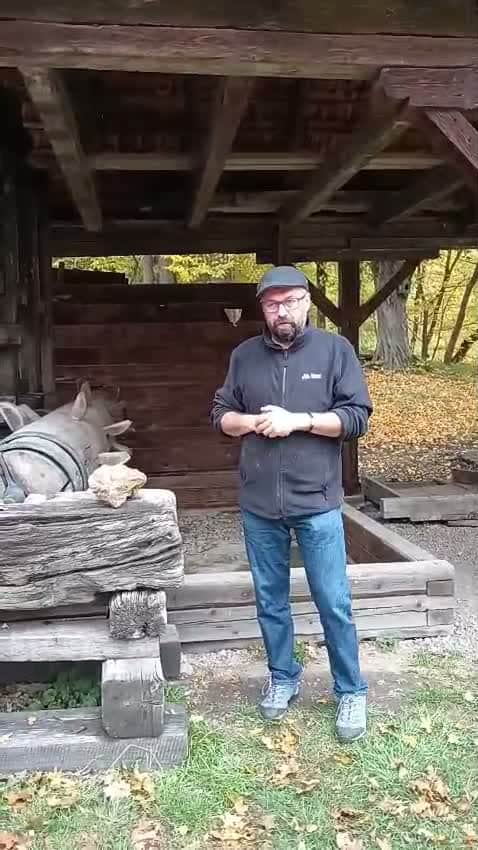 Imagini cu șteampul Muzeului ASTRA folosit pentru zdrobirea minereului aurifer