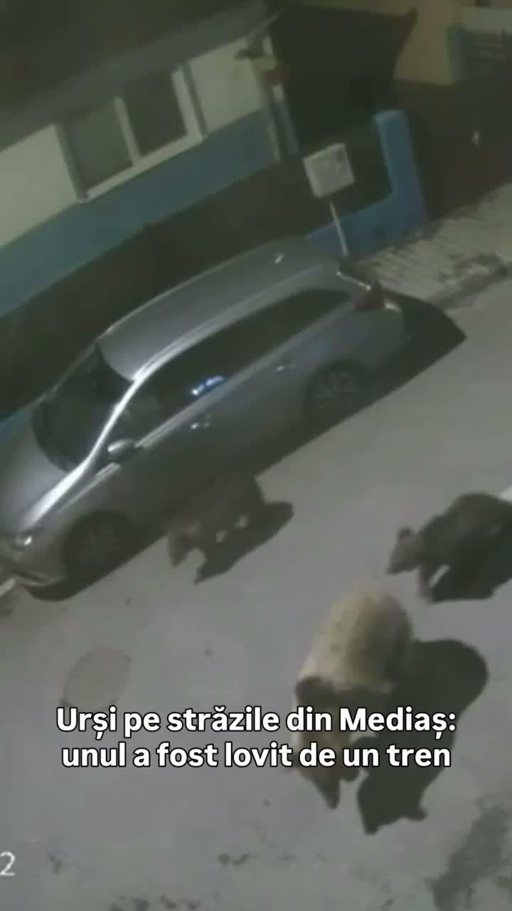 Obygate Femei obligate să se prostitueze în mai multe orașe, inclusiv la Sibiu ...