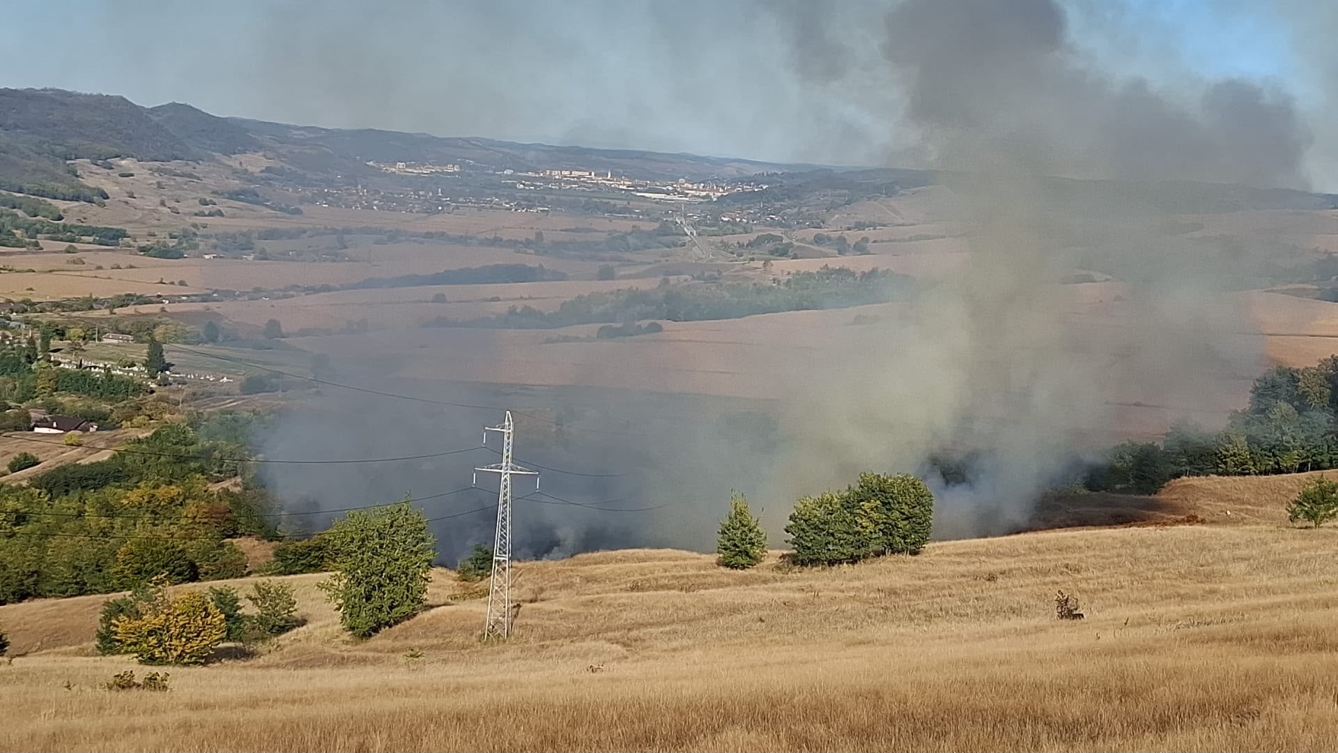 Copșa Mică: incendiu de vegetație uscată pe aproximativ 10 hectare