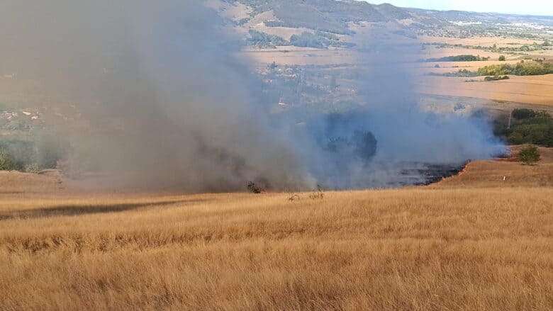 Copșa Mică: incendiu de vegetație uscată pe aproximativ 10 hectare